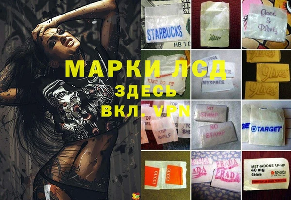 apvp Аркадак